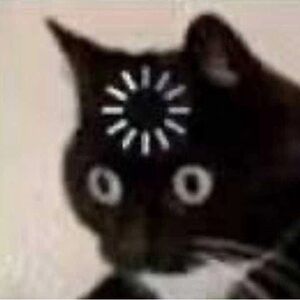 Meet your Posher, Ella